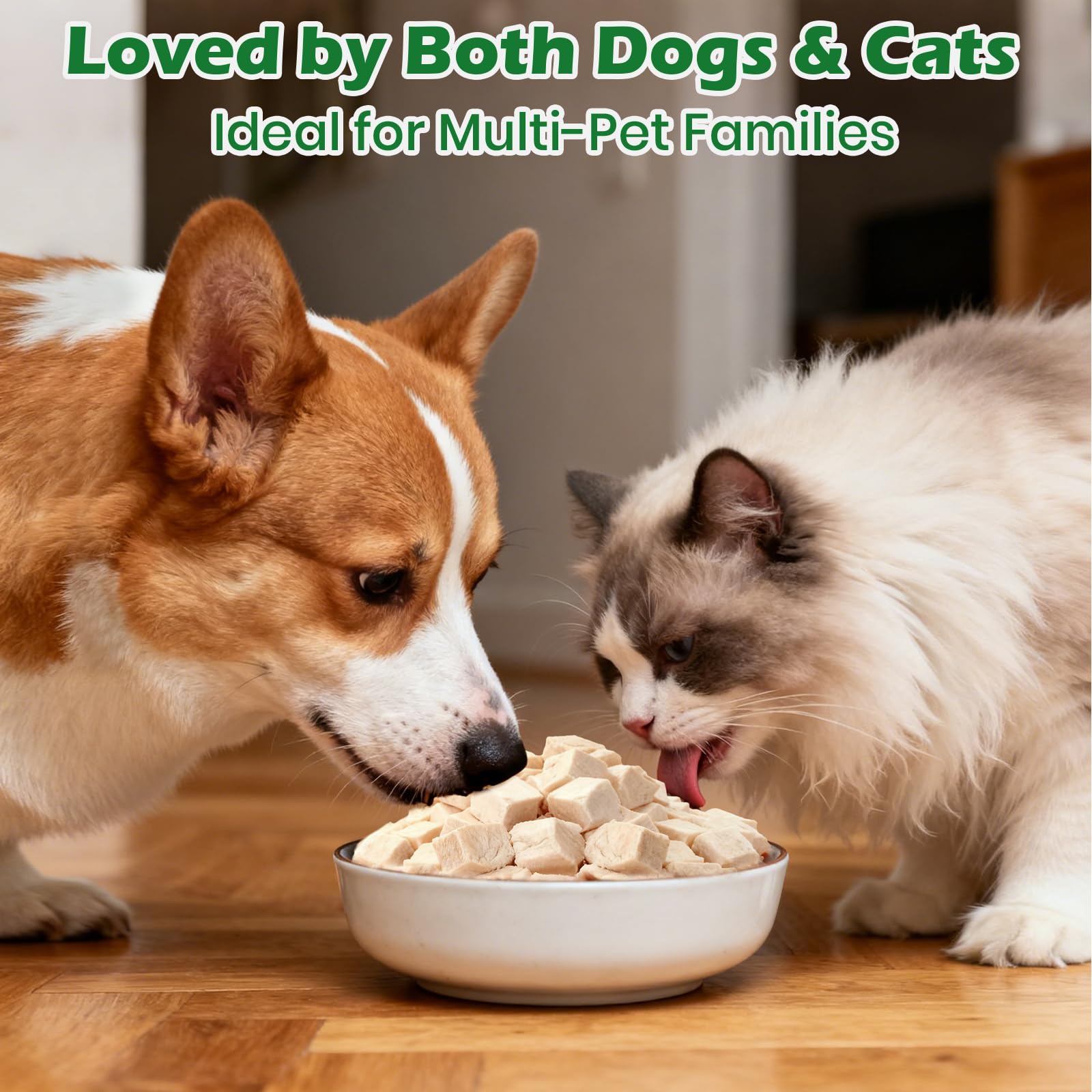 Freeze Dried Chicken Cat & Dog Treats 14.5 oz – Single Ingredient, High Protein Dry Chicken Pet Snacks, Grain-Free All Natural, Healthy Training Treats or Food Topper