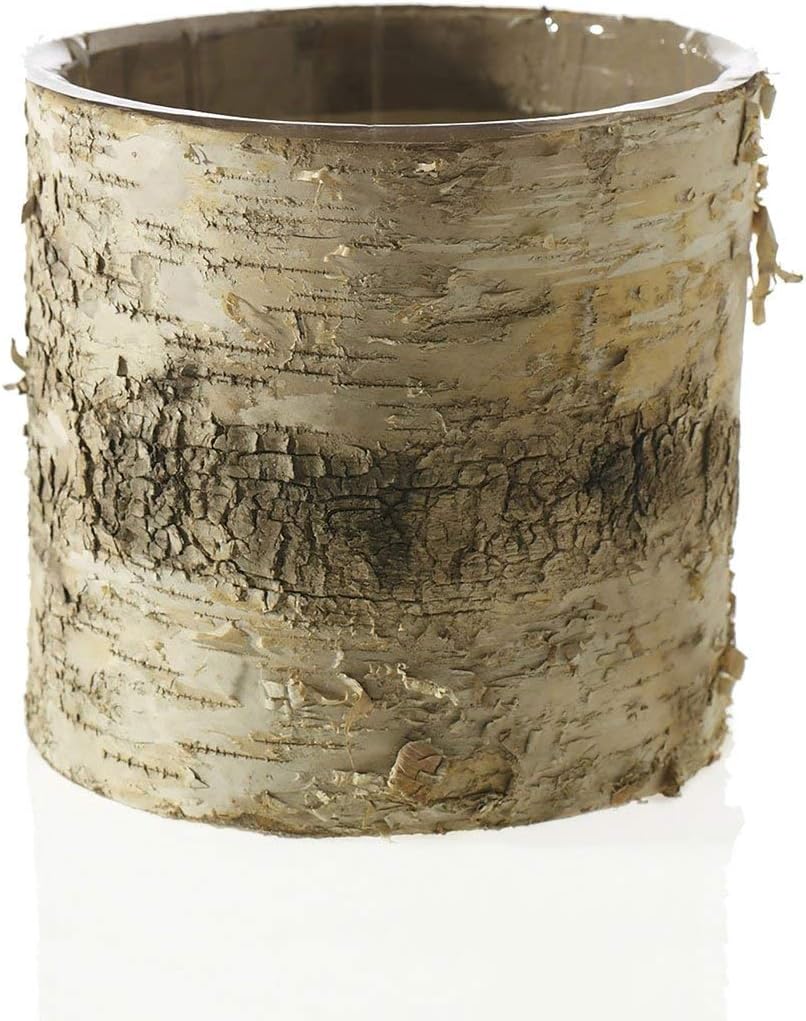 Afloral Natural Birch Vase with Clear Liner - 4.75" Tall x 4.75" Wide