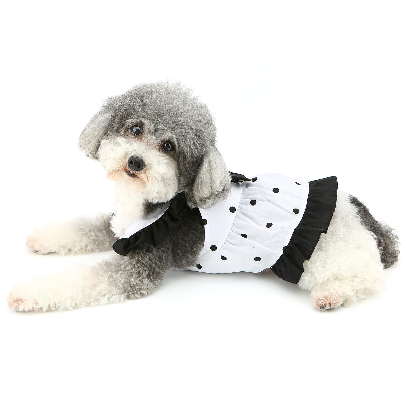 Abiti per cani a pois con fiocco, gonna da principessa per cuccioli, nero, M