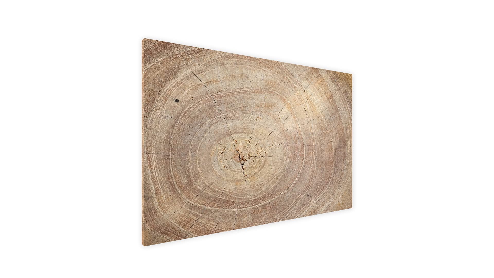 ALLboards Tableau Magnétique en Métal Motif Tronc Cernes de Bois 60x40cm, MetalBoards pour tout type d'Aimants