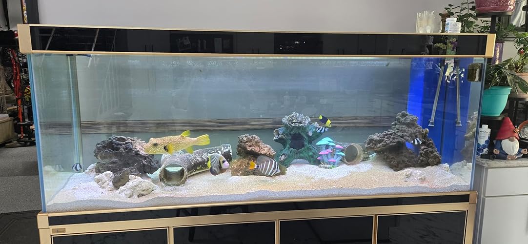 Review Image by Amazon Customer