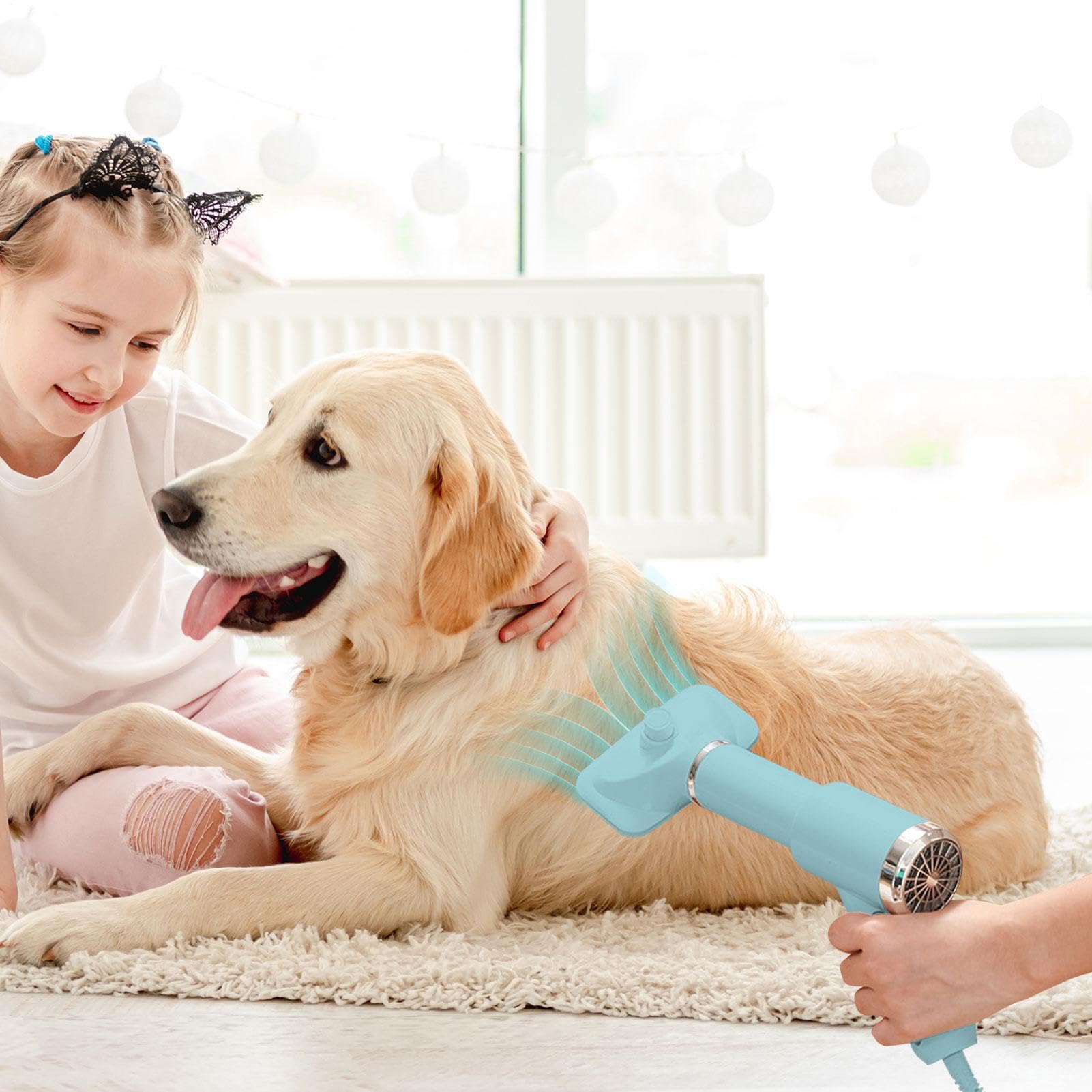 Sèche-linge pour chien – Brosse de séchage 2 en 1 pour chien, souffleur