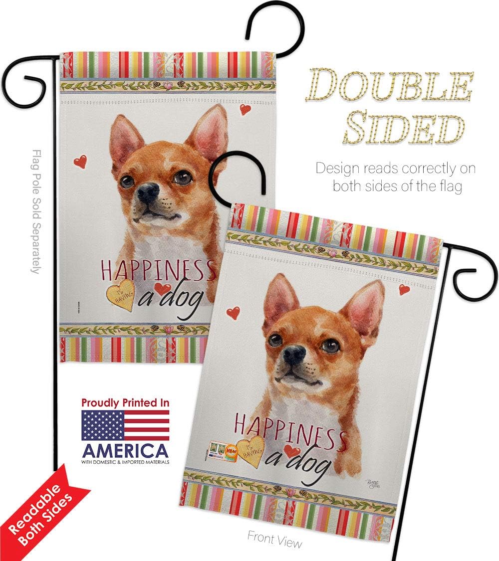 Shorthair Chihuahua Happiness Garden Flag Set Wall Holder Animals Dog Puppy Spoiled Paw Canine Fur Pet Nature Farm Animal Creature Small Gift Yard House Banner Double-Sided Made In USA 13 X 18.5