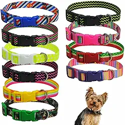 Coleira para pet cachorros filhotes de identificação cartela com 10 unidades