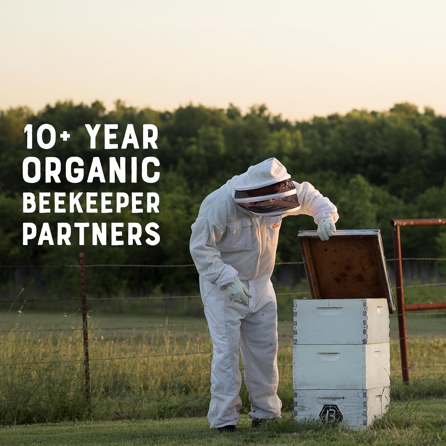 Nate's Organic 100% Pure, Raw & Unfiltered Honey - USDA Certified Organic By Savoy Impex 12 oz Squeeze Bottle 340g 3