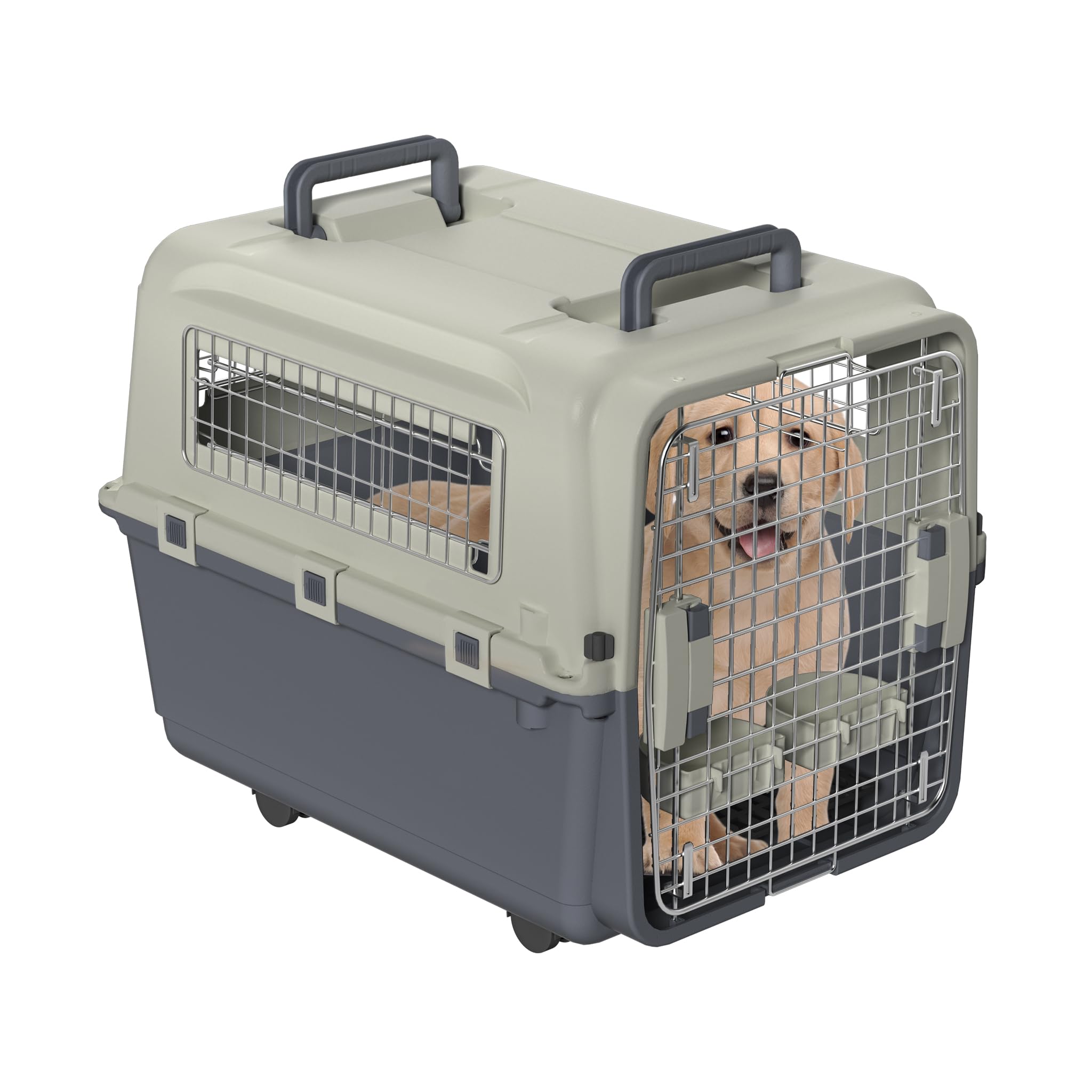 LZQ Contenitore per il trasporto di gatti, cani e animali, in plastica, per il trasporto di piccoli animali, coniglio (lunghezza 67 x larghezza 51 x