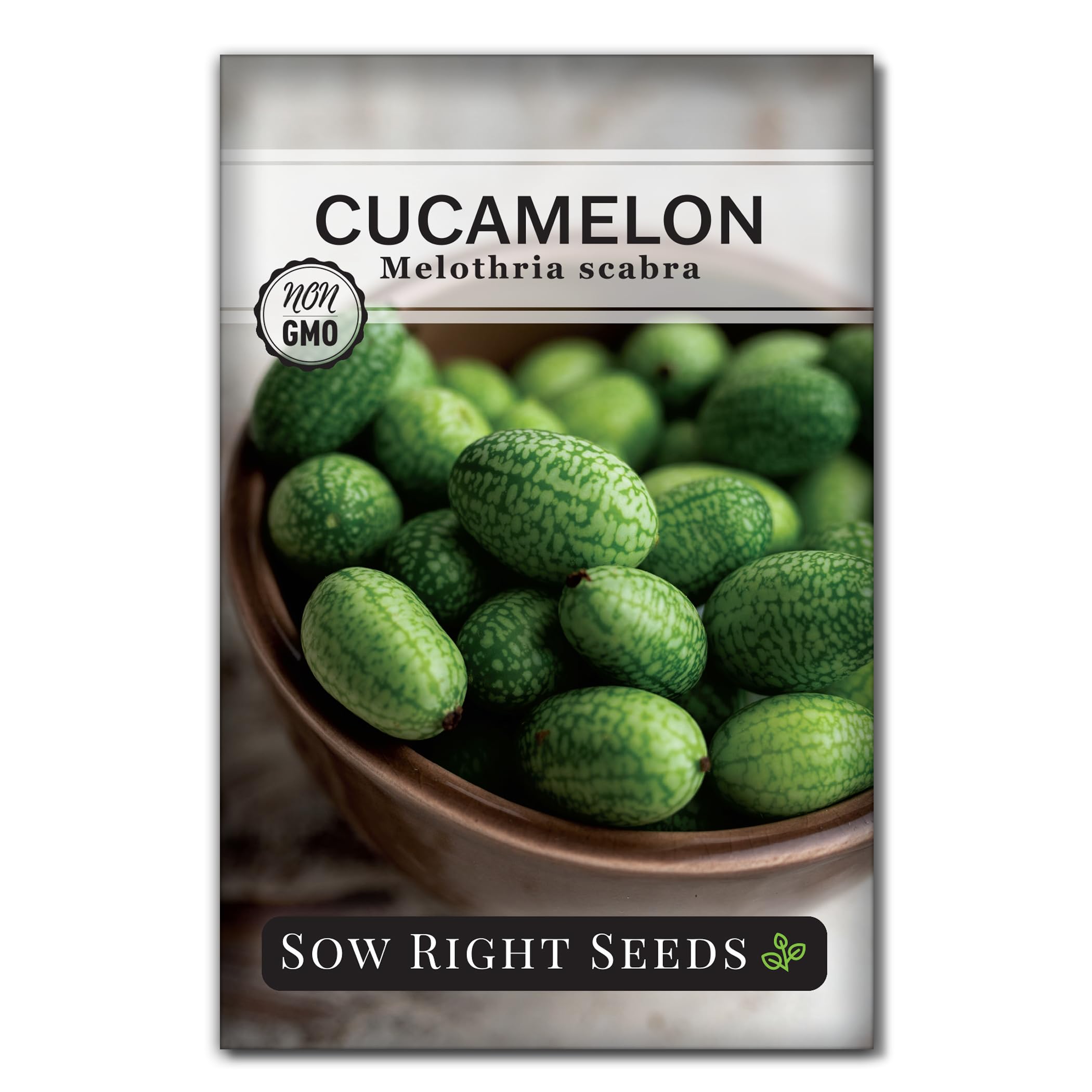 Sow Right Seeds - Cucamelon Seeds for Planting - Non-GMO Heirloom Packet with Instructions to Plant an Outdoor Home Vegetable Garden - Mini Bitter Mouse Melon, Mexican Sour Gherkin - Rare Variety (1)