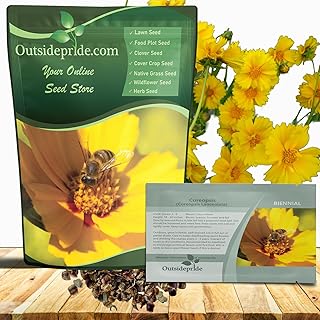 Outsidepride Lance-leaved Coreopsis Seeds - 5 lbs. Perennial, Humidity &...