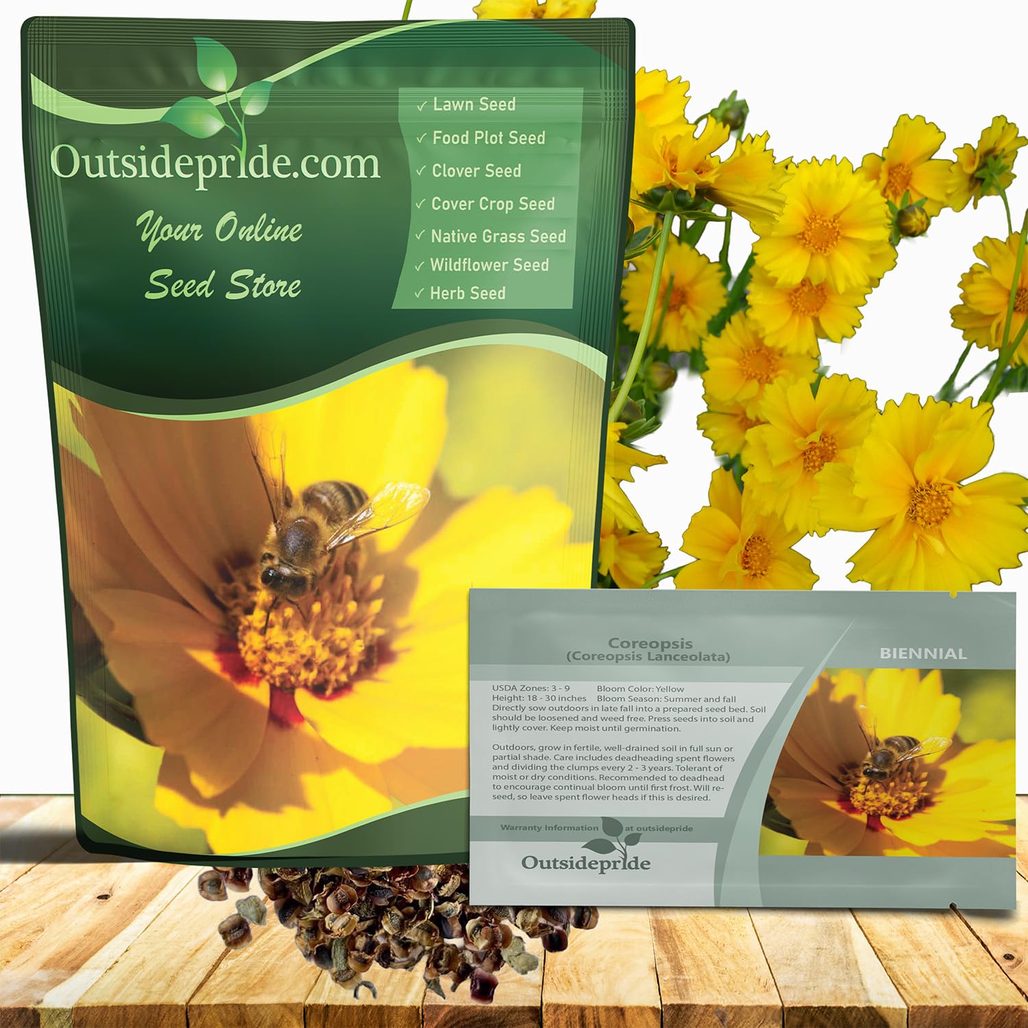 Outsidepride Lance-leaved Coreopsis Seeds - 1 lb. Perennial, Humidity & Drought Tolerant Flower Seeds for Planting Clumping Vibrant Golden Blooms,