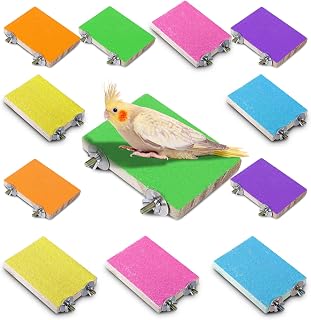 Reginary 12-Pack Colorful Wood Bird Perches - Paw Grinding Platforms for Parrots, Cockatiels, Lovebirds - 6 Vibrant Colors Cage Toys