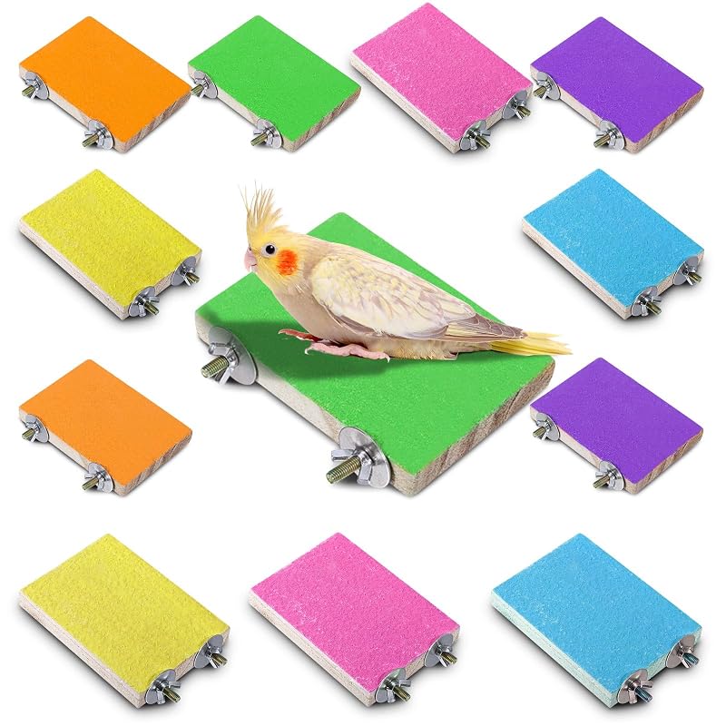 Suporte de Madeira para Gaiola de Aves com Superfície de Areia de Quartzo Reginary, 12 Unidades em 6 Cores