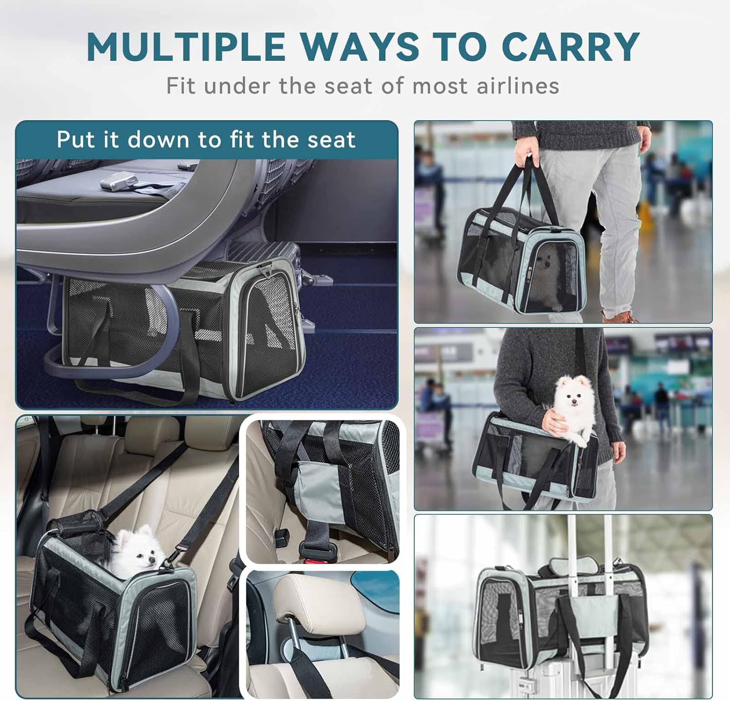Petsfit Airline Approved Cat Carrier Pet Travel Carrier,Large Space Breathable Lightweight Soft-Sided Dog Carriers for Small Animal : Pet Supplies