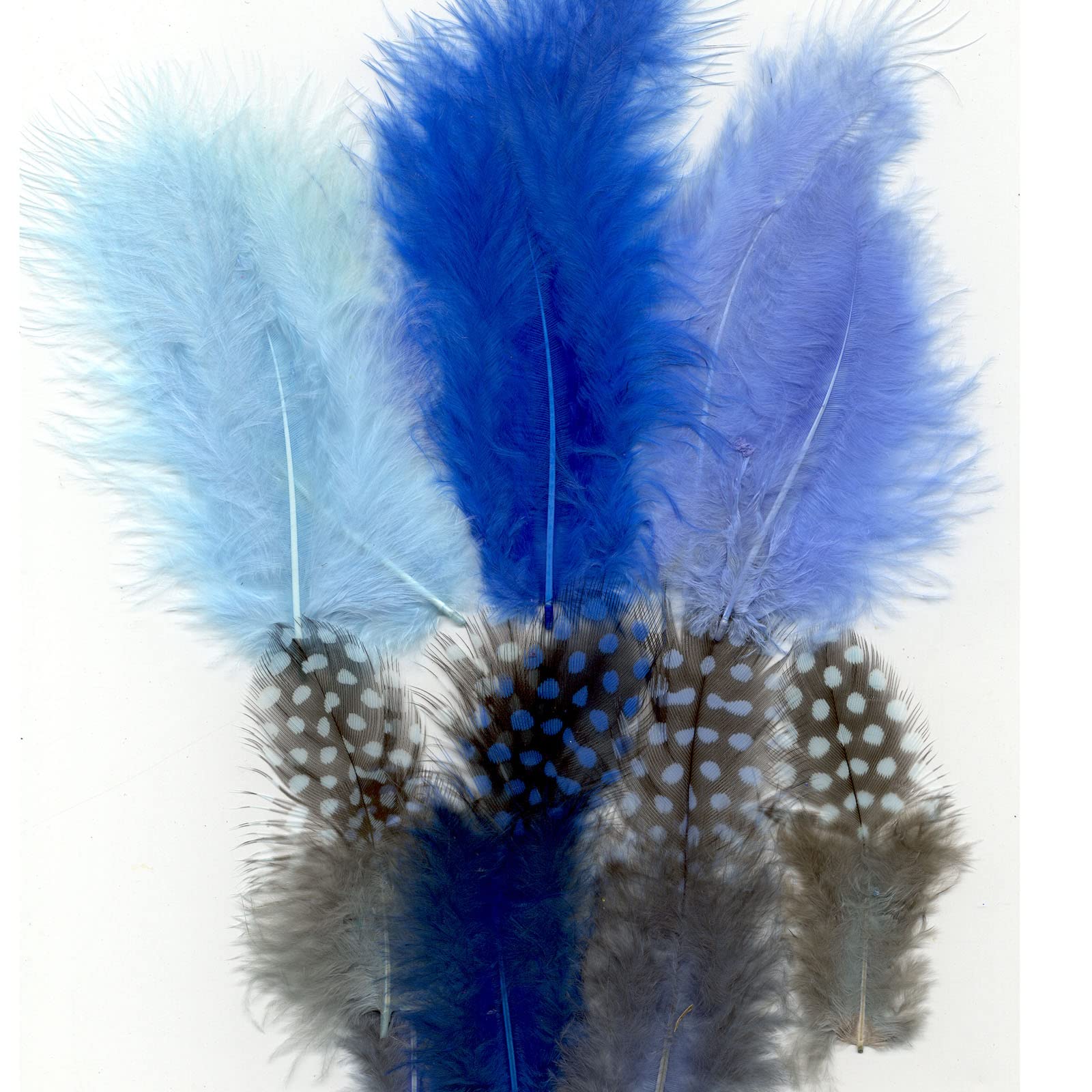 Vaessen Creative Boys Hobby & Crafting Fun - Marabou & Guinea Fowl Feathers - 18Pcs