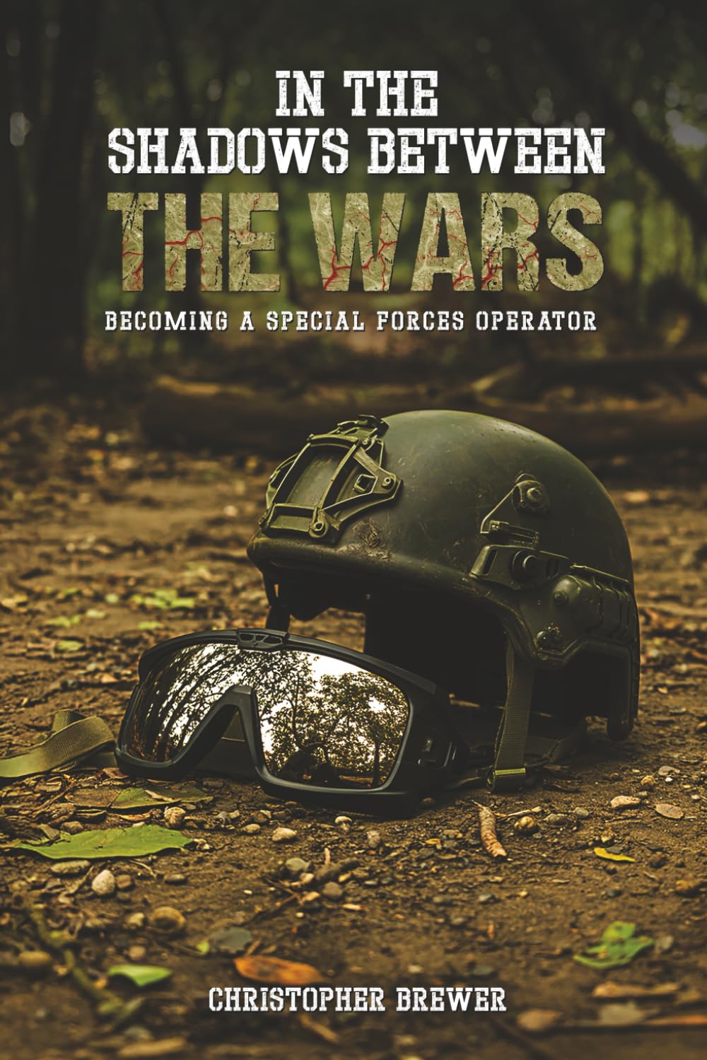 In the Shadows Between the Wars: In the Shadows Between the Wars