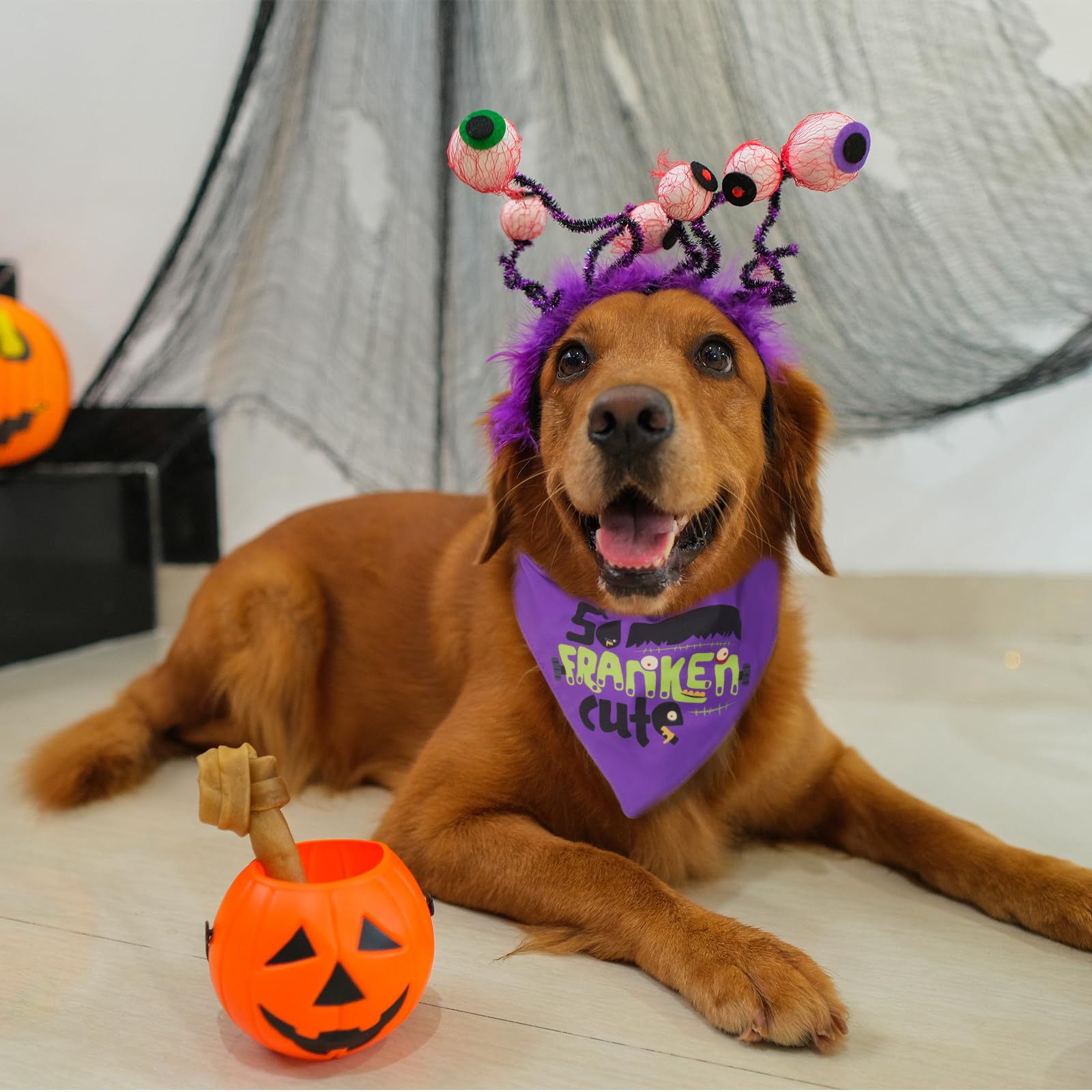 ICEMOOD Halloween Dog Bandanas Costume, So Franken Cute, Slogan Printed Holiday Pet Bandana Snap Button Triangle Scarf - Image 4