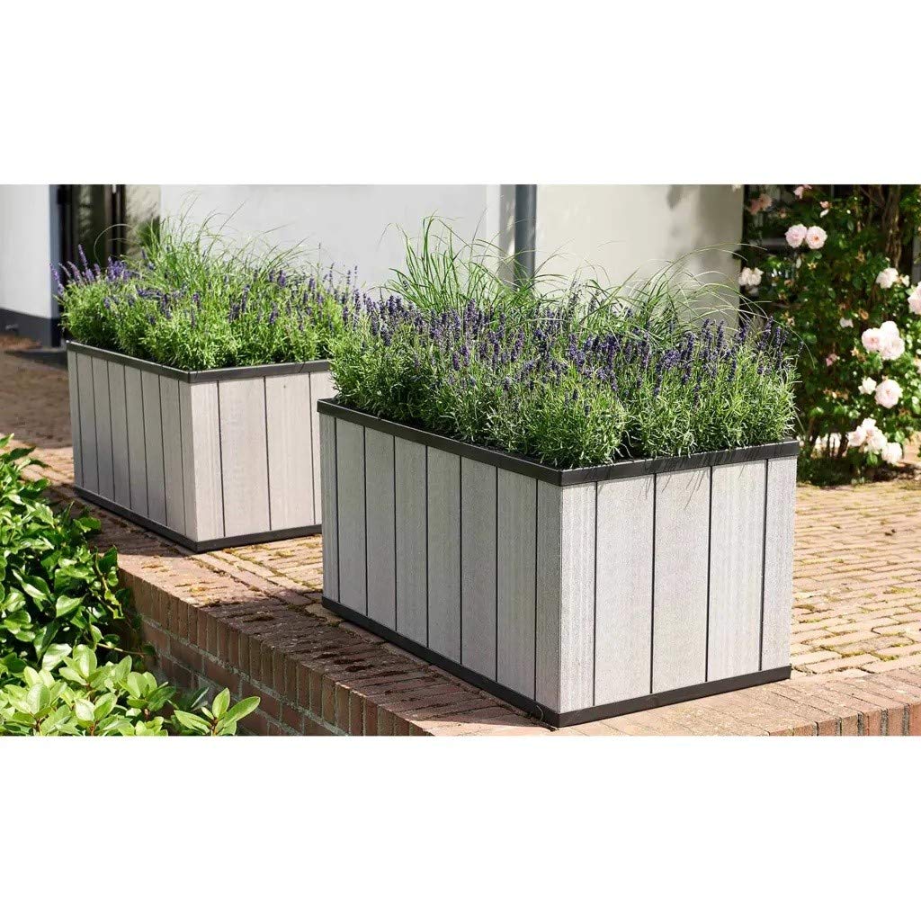 Keter Seqouia - Vaso per Piante, Colore: Grigio