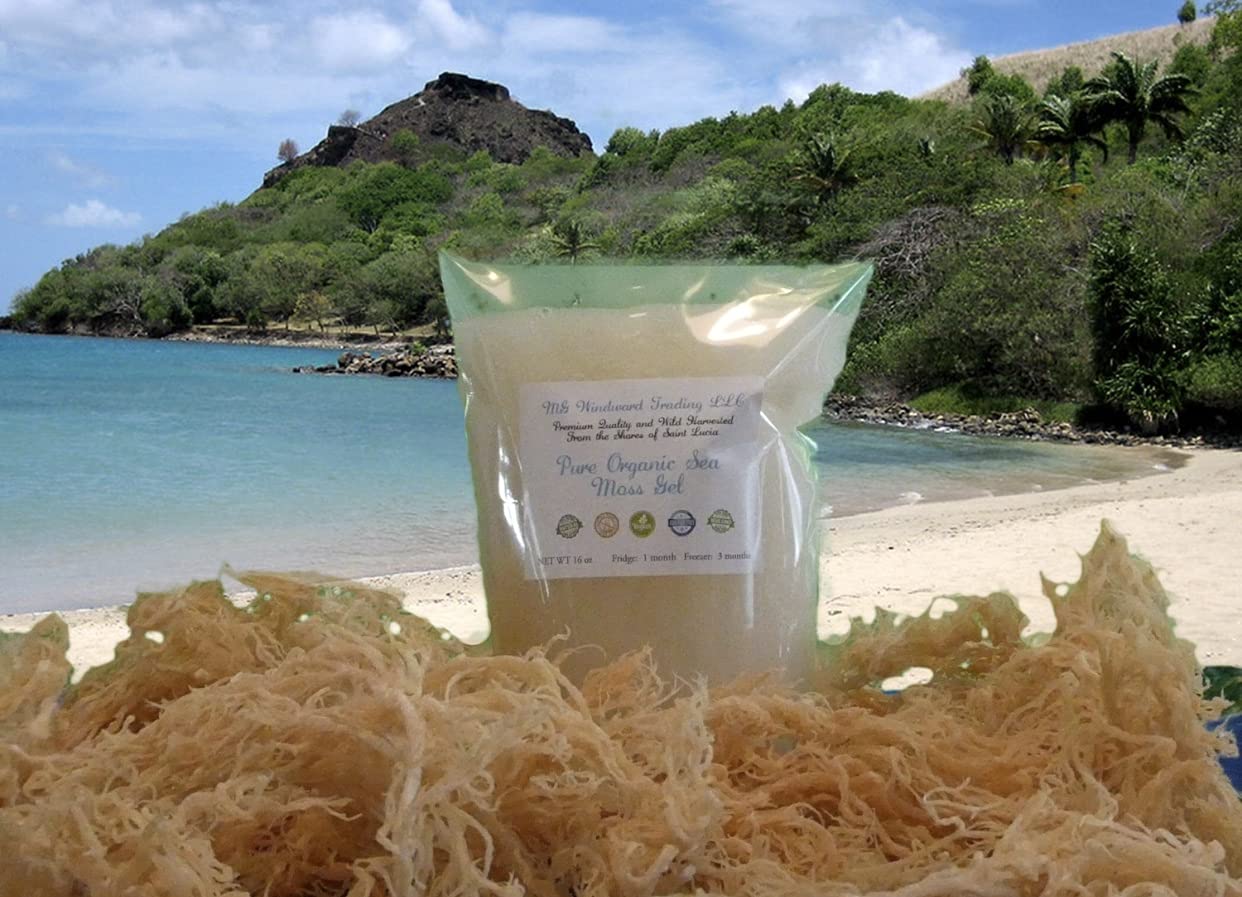 Wildcrafted All Natural Sea Moss Gel | St. Lucia | Organic Gold, Purple, and Green | Alkaline | Dr. Sebi