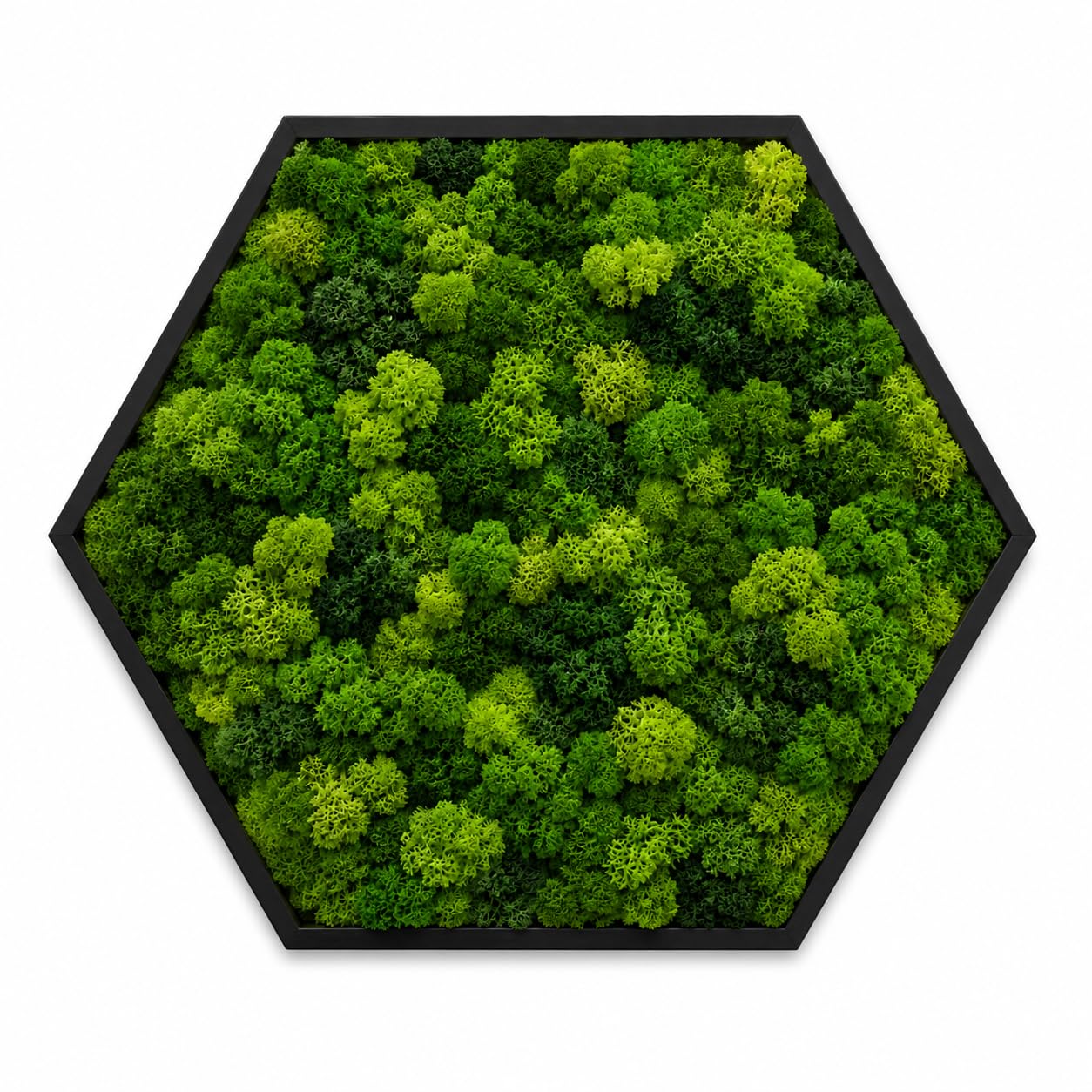 Quadro Esagonale Verde Stabilizzato con Muschio e Licheni Naturali - Decorazione Vegetale di Design per Casa e Ufficio - Senza Manutenzione (Esagonale 80x80 cm, con Cornice)