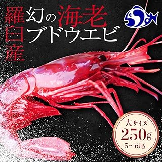幻のえび!北海道 知床 羅臼 ぶどうえび(大・250g /5~6尾)エビ 海老 ブドウエビ 羅臼町 北海道 魚介類 魚介 海産物 冷凍 生産者 支援 応援