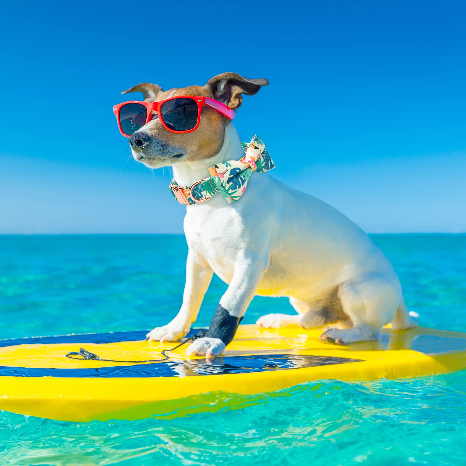 Verstellbares Hundehalsband mit Fliege und niedlichem Muster, für Frühling und Sommer, weiches Haustierhalsband für kleine, mittelgroße und große Hunde