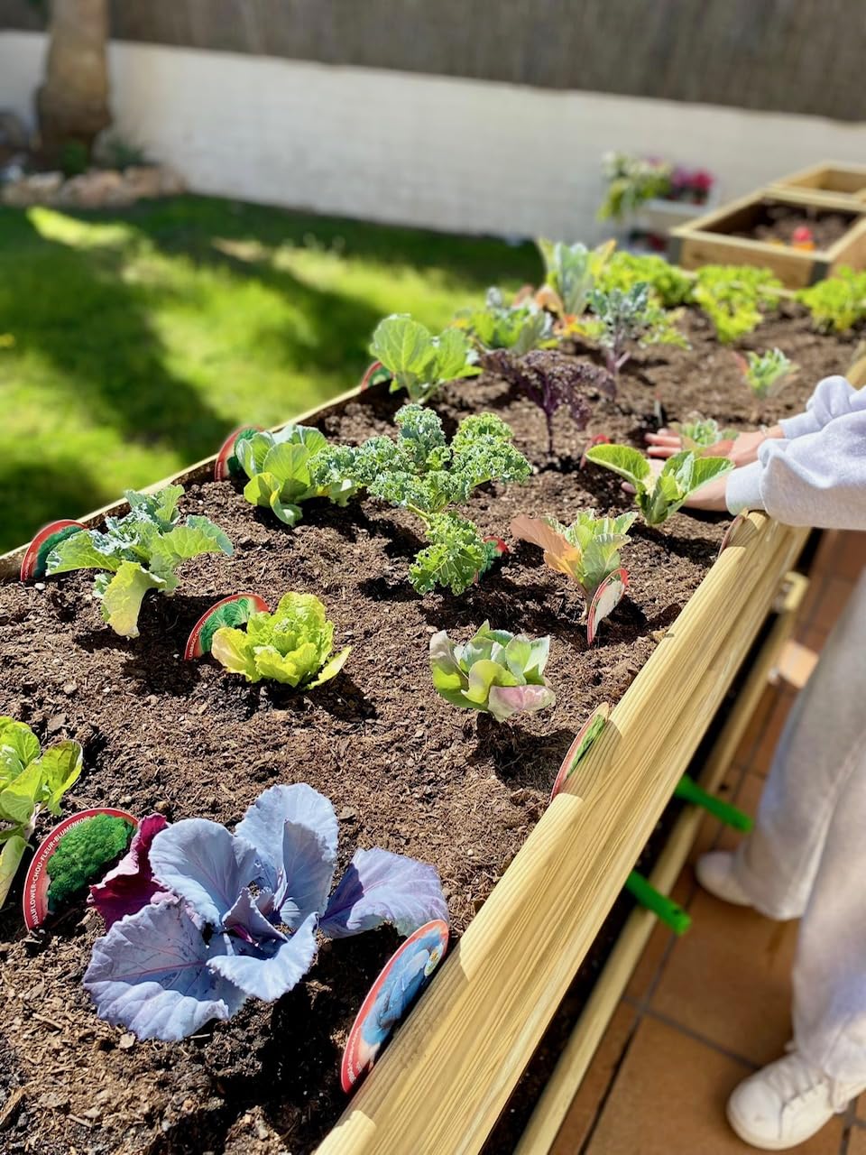 Jardinera Elevada Madera con Bandeja Recoge Aguas | Estructura Metálica | Mesa Cultivar Plantas Terraza Jardín Balcón Exterior | Verde | HUERTO Alto - 90x40x78 cm