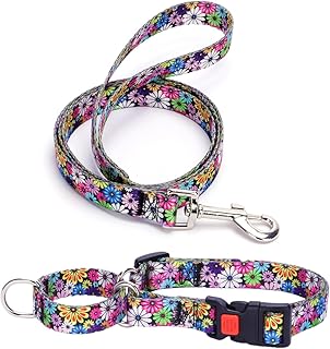 Martingale Dog Collar, No Pull Heavy Duty Comfortable Durable Pet Collar with Leash Prevent Slipping Out Training Collars for Small Medium Large Dogs Chrysanthemum,Martingale Collar+Leash Large