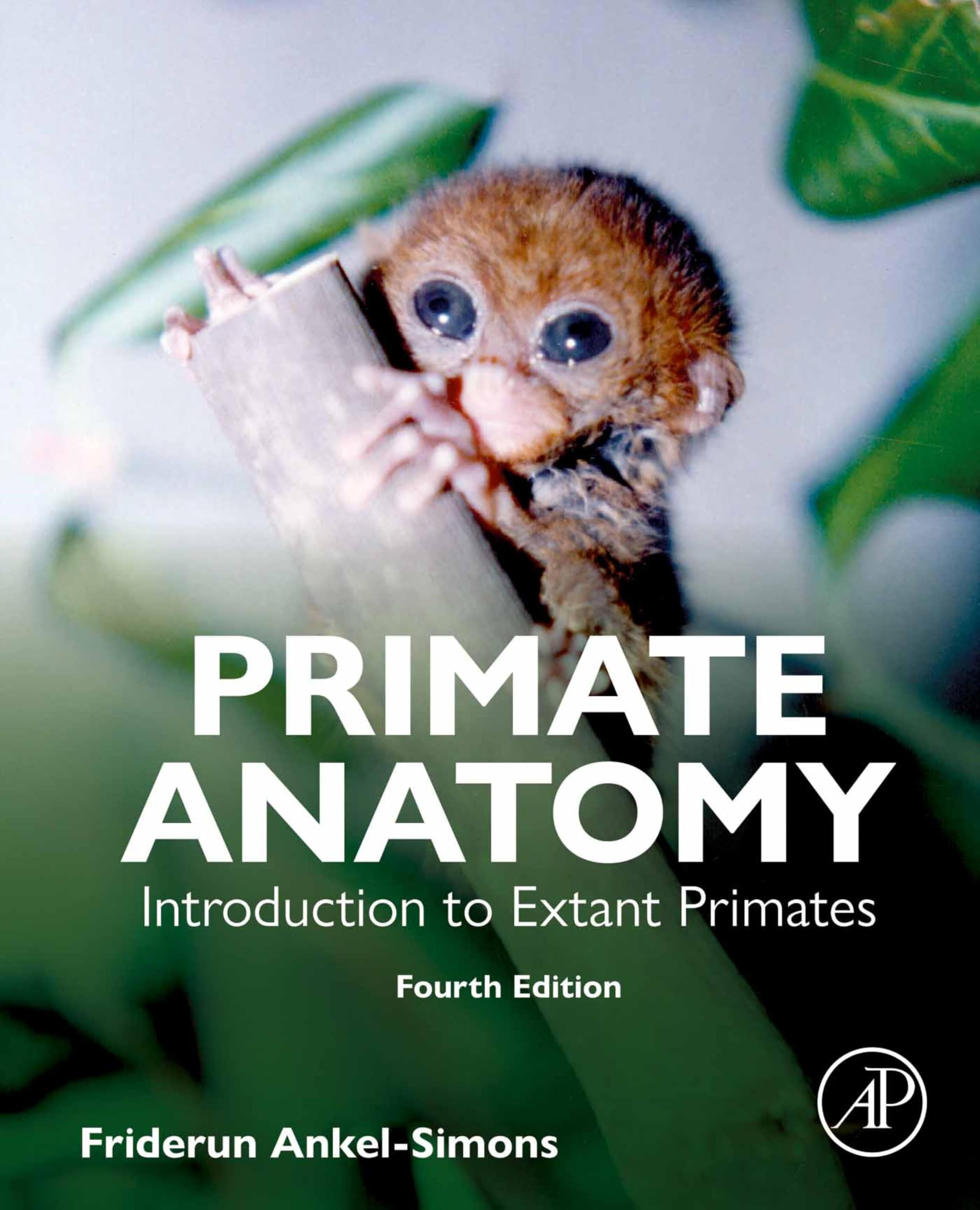 Primate Anatomy: Introduction to Extant Primates (English Edition)