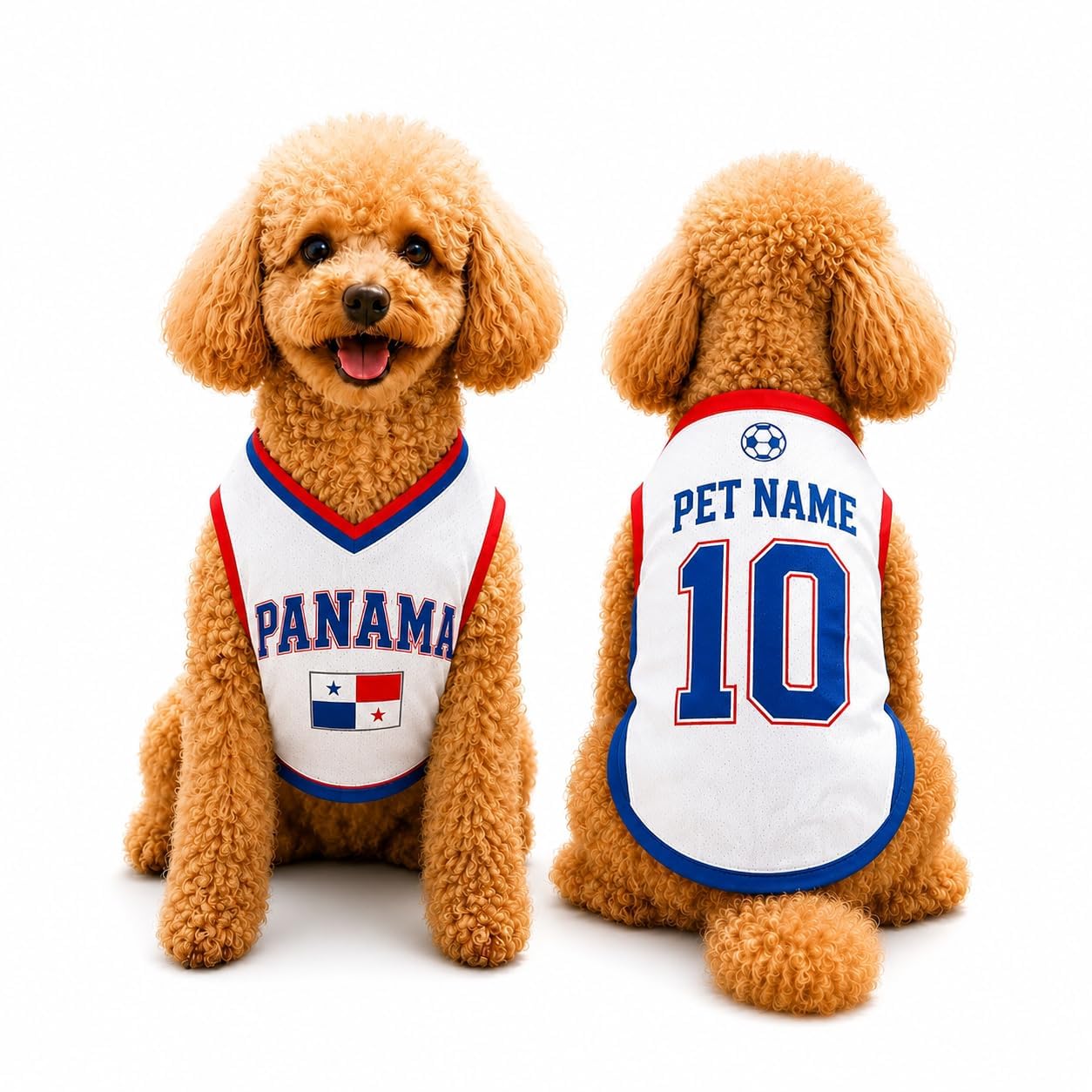 Custom Dog Football Jersey with Name Number Logo, Personalised 2026 Pet Jersey, Breathable Quick Dry T-Shirt for Small Medium Large Dogs, Gift for Fans