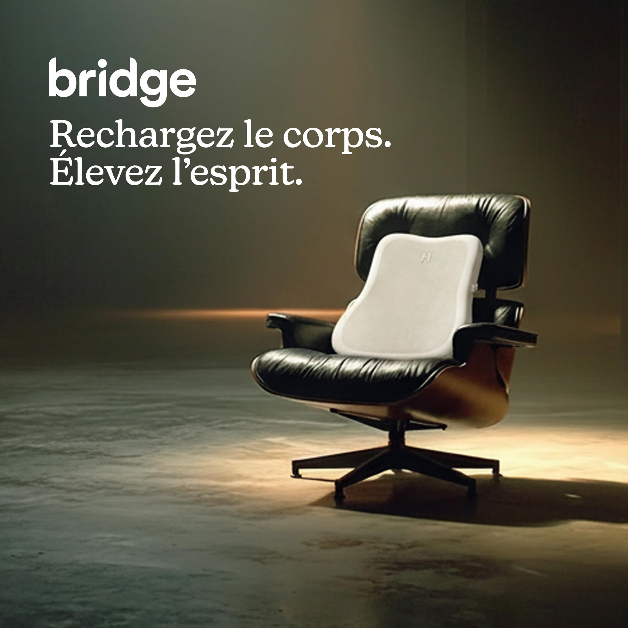 Homedics Bridge Coussin de Massage Vibroacoustique | Pour Chaise, 5 Pistes Audio, Diffusion Bluetooth, Ondes Sonores Basse Fréquence, Apaiser le Corps et l'Esprit