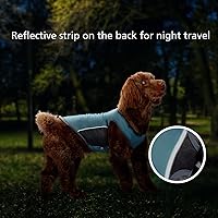 Vista 5 de Camiseta de protección solar UPF 50+ para perros pequeños, chaleco transpirable sin mangas con tiras reflectantes, camiseta deportiva para mascotas