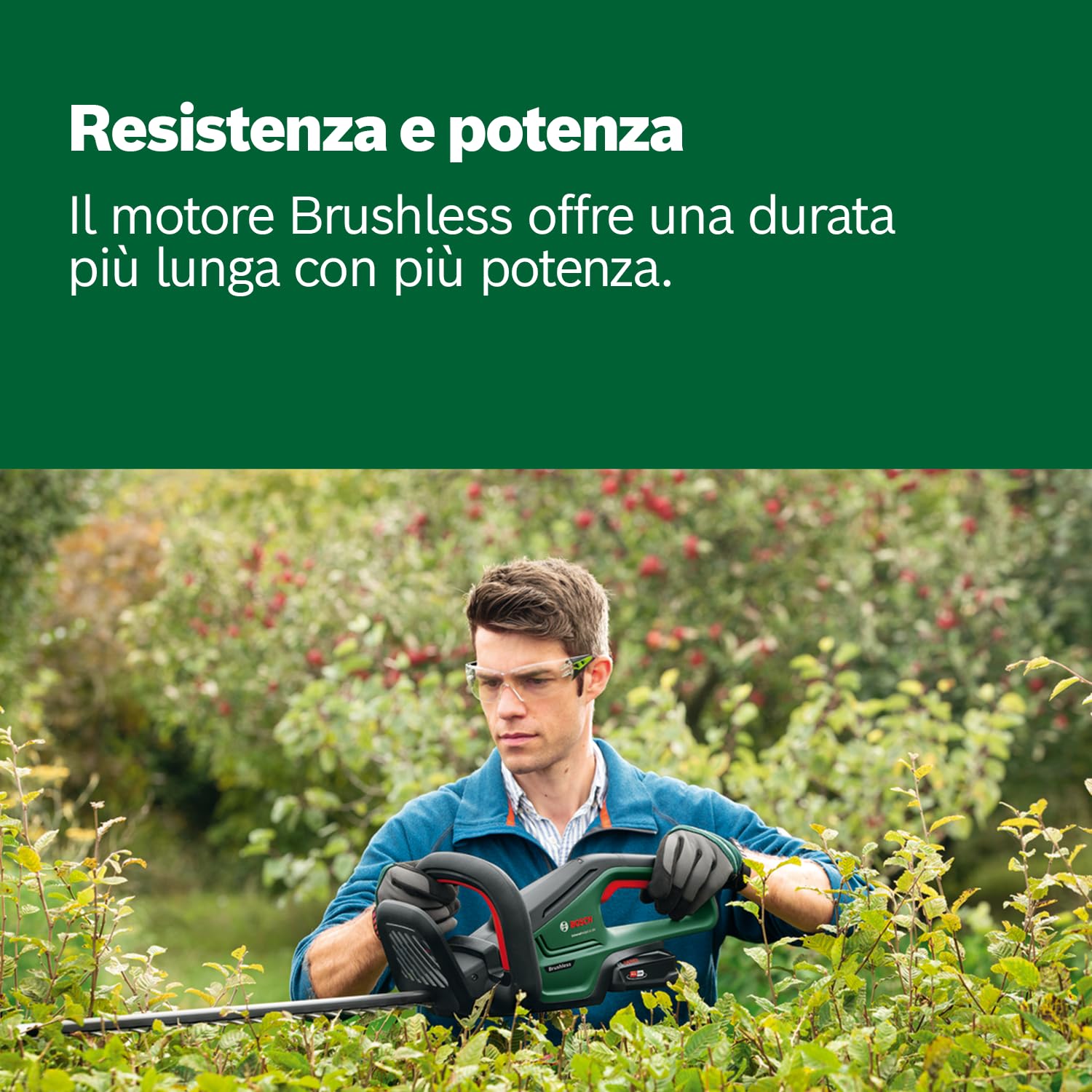 Bosch Home and Garden Tagliasiepi a batteria UniversalHedgeCut 18V-50 (1 da 2,5 Ah, sistema 18 Volt, lunghezza lama 50 cm, in confezione di cartone)