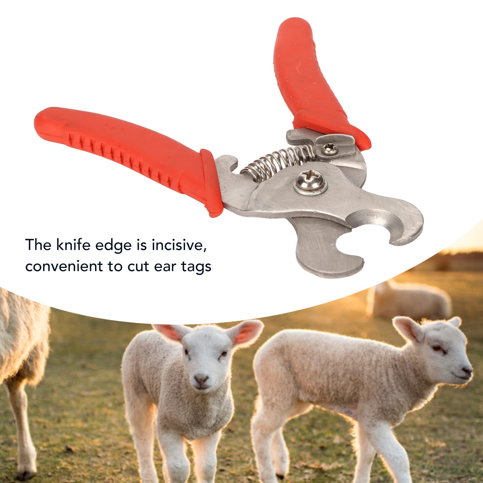 Pince à Enlever les étiquettes D'oreille Pince à Enlever les Animaux Couper L'étiquette D'oreille D'animal en Acier Inoxydable pour les Fournitures de santé du Bétail Poultry Farming Supplies