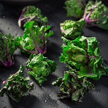 PREMIER SEEDS DIRECT - Kale/Brussel Sprout Cross - Flower Sprouts 20 Seeds