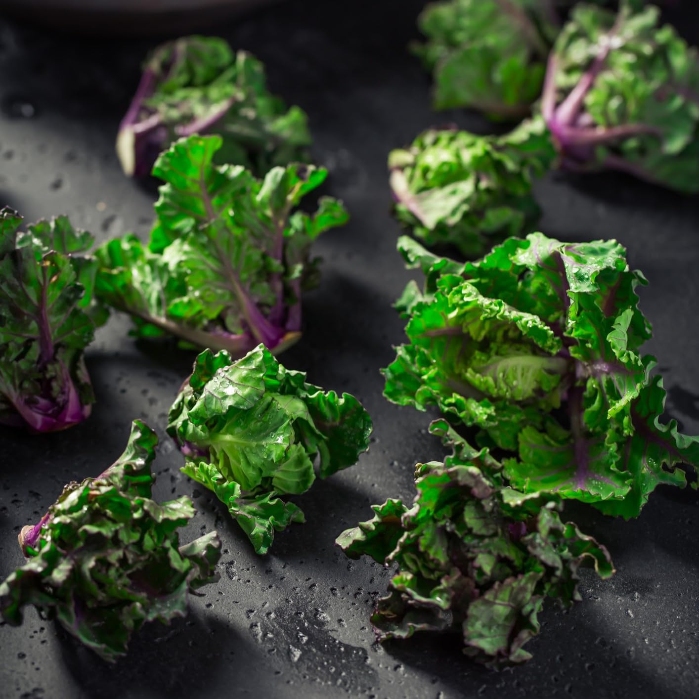 Premier Seeds Direct