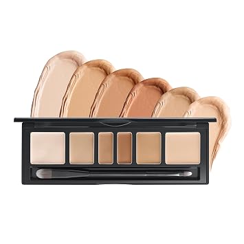 [JUNGSAEMMOOL OFFICIAL] Artist Concealer Palette Skin | Makeup Artist Brand | Color Corrector with Brush | Blemish Redness Dark Circles Cover Up