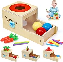 LZDMY Montessori Toys for Kids 1 Year Old, 6 In 1 Wooden Baby Toy | Educational Games for Boys Girls, Sorting Toy with Balls Colors and Coins, Birthday Christmas Gift