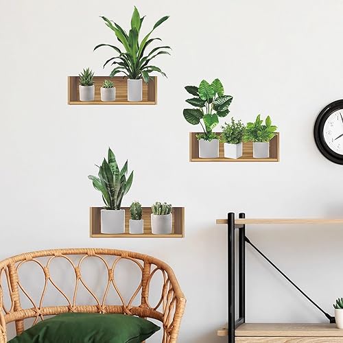 Calcomanías de pared con diseño de plantas verdes, hojas verdes, cactus suculentas, calcomanías de pared extraíbles de vinilo para despegar y pegar