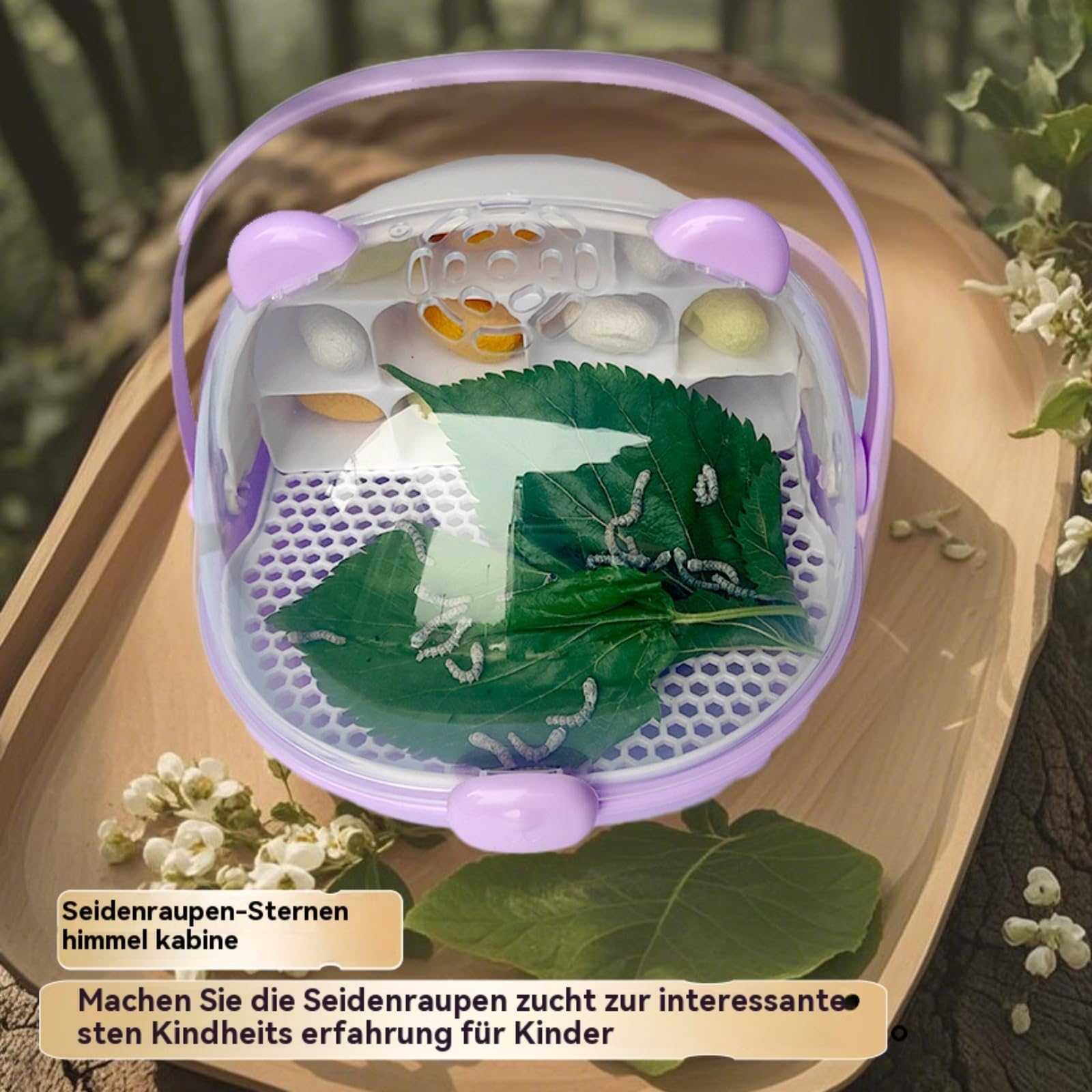 Genérico Caja de cría para Gusanos de Seda, Jaula de Crecimiento para Gusanos de Seda, Jaula de hábitat Transpirable y Transparente, Ideal para la observación y educación de niños.