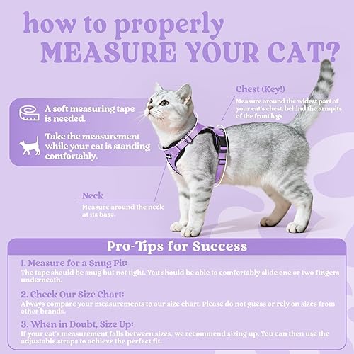 Miniatura 2 de rabbitgoo Arnés y correa para caminar, a prueba de escapes, chaleco suave y ajustable para gatos, fácil de controlar, transpirable, tiras