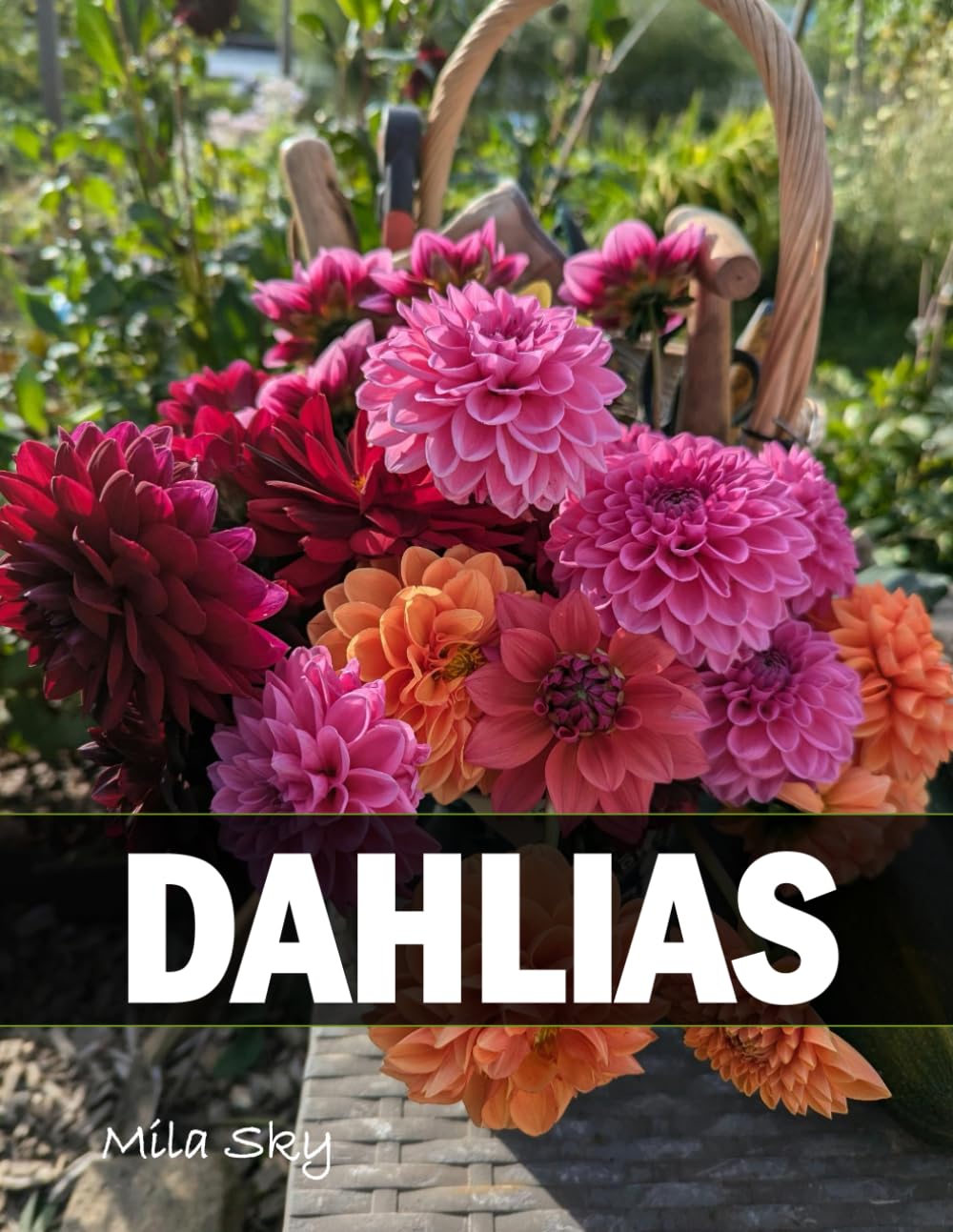 Dahlias: A Stunning Coffee Table Collection of Flower Photography