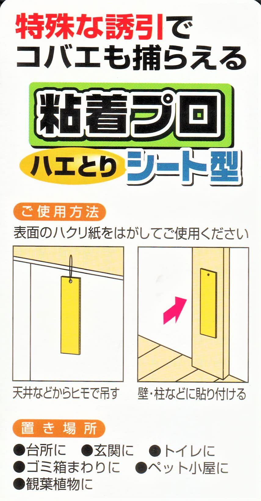 Amazon | 粘着プロ ハエとり シート型 3セット 特殊誘引性粘着シート