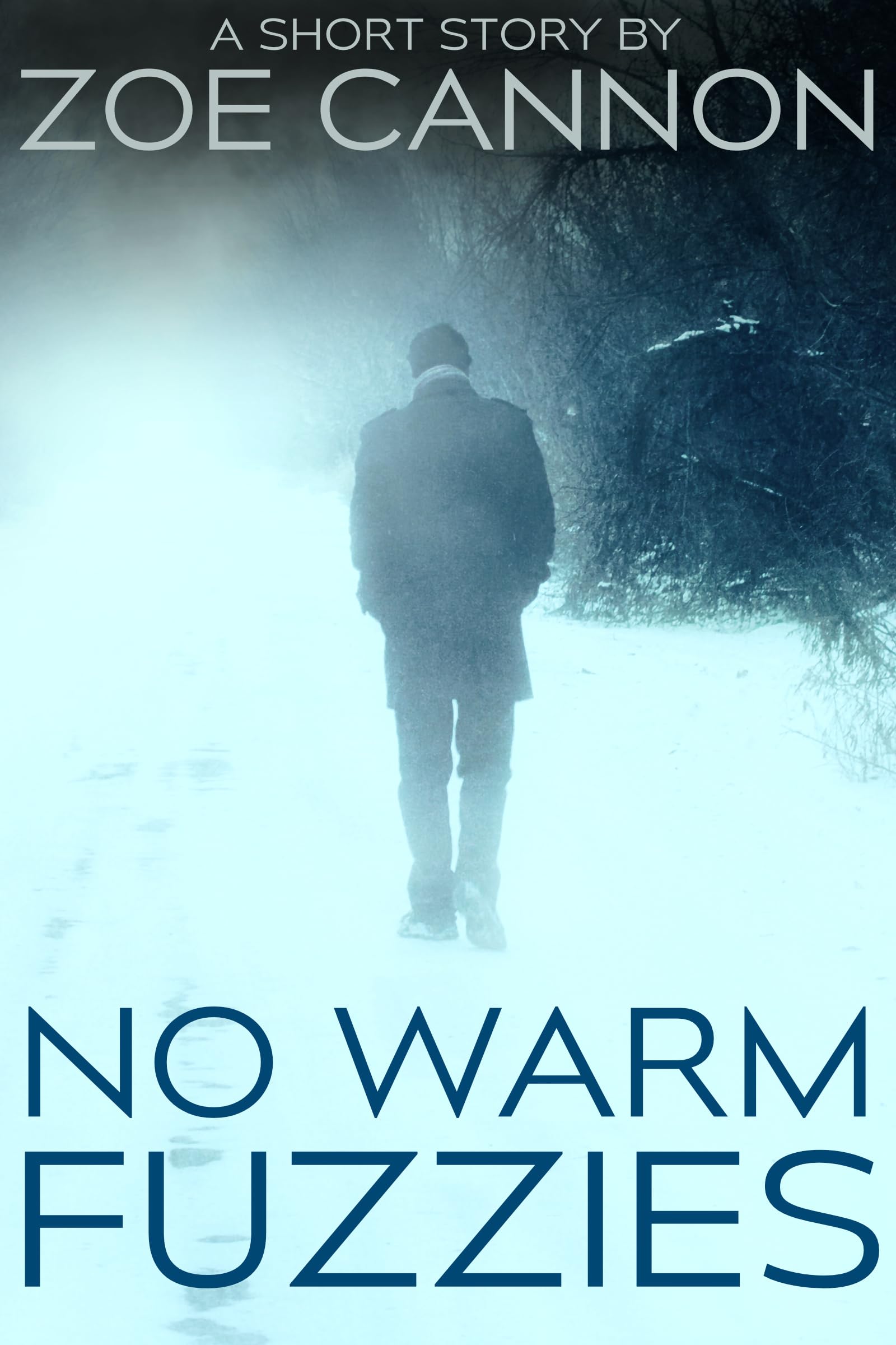 Cover of No Warm Fuzzies