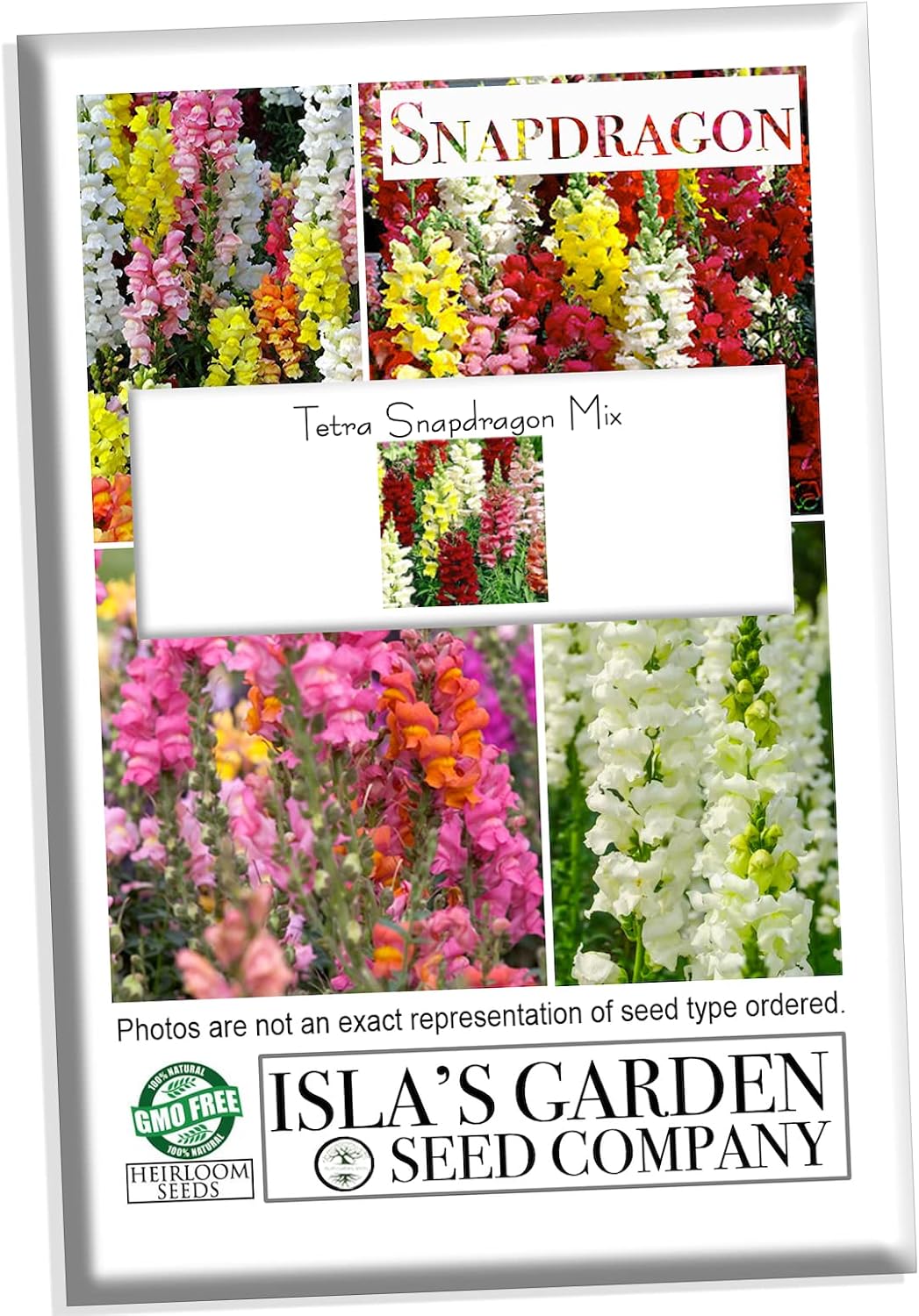 Tetra Mix Snapdragon Seeds for Planting, 2000+ Flower Seeds Per Packet, (Isla's Garden Seeds), Non GMO & Heirloom Seeds, Scientific Name: Antirrhinum majus, Great Home Garden Gift