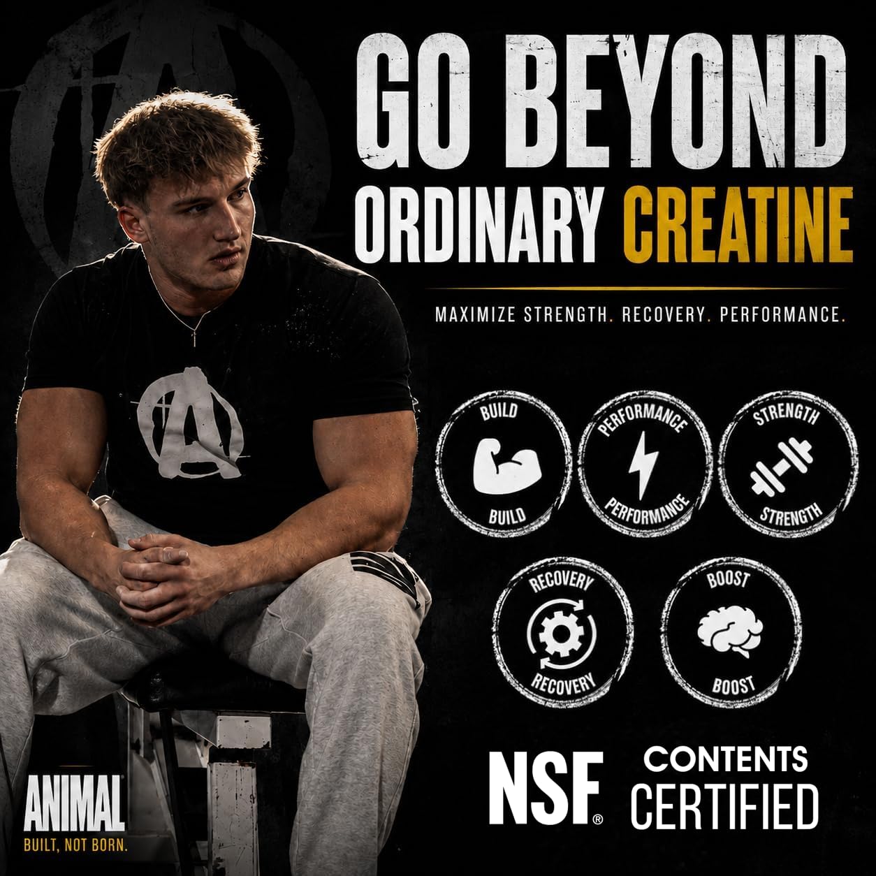 Animal Creatine Monoydrate Powder for Men & Women | Unflavored 1000g — Amazon image 3