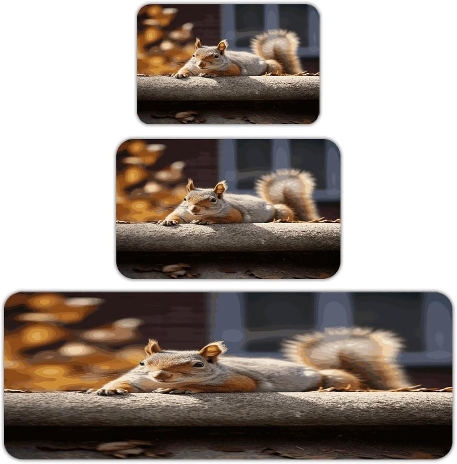 Squirrel Just Laying Kitchen Mats Soft Absorbent Rugs for Floor Non Slip Washable Kitchen Mats Fashion Rectangular Rugs for Three-Piece Set for Laundry Office Home Sink