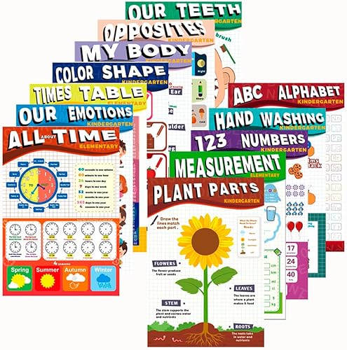 Miniatura 7 de NymphFable Set of 12 Educational Posters for Toddlers, Pre K Learning Posters for Toddlers, Nursery Homeschool Kindergarten Classroom Supplies