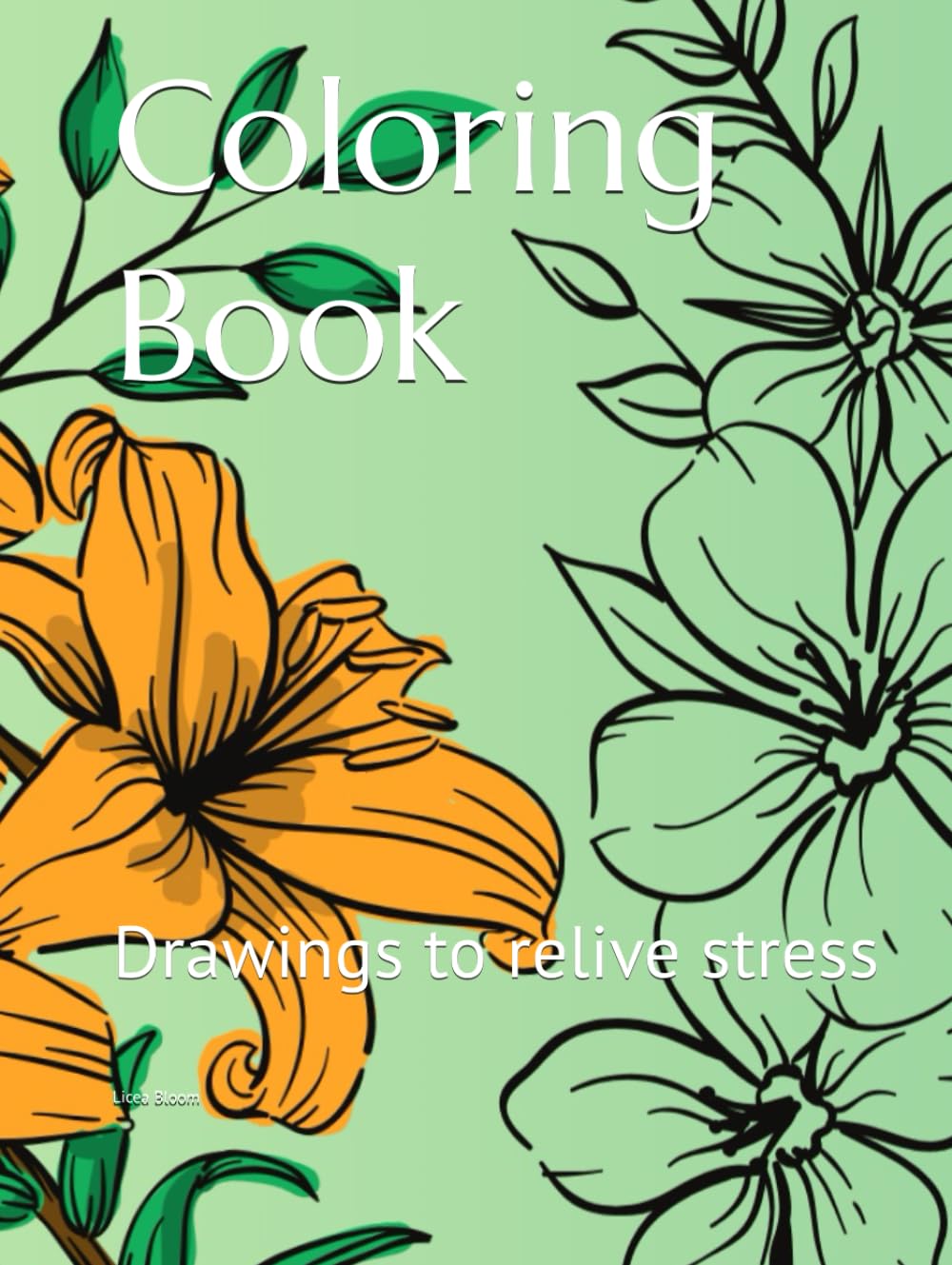 Coloring Book: Drawings to relive stress