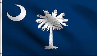 DMSE South Carolina Palmetto State Flag 2X3 Ft Foot 100% Polyester 100D Flag UV Resistant