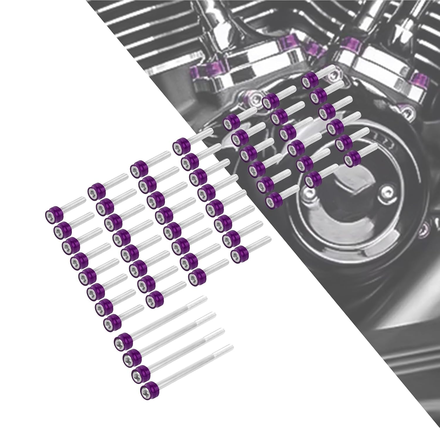 HDBUBALUS Derby Cover Hardware Bolt Kit Motorcycle Screws Bolt Cover Fit for Harley Softail 2018-2025 Touring 2017-2025 Roading King Fat Bob FLHR FXFBS 54x Screws (Purple)