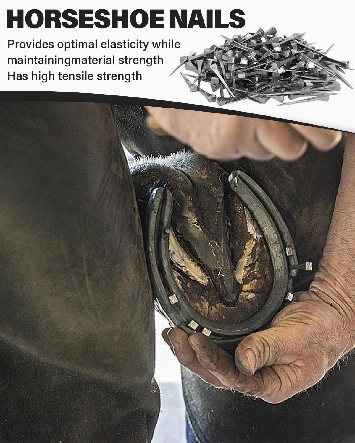 50 Piezas Clavo de Herradura, 51 mm Clavos de Acero de Caballo, Acero Carbono, no Fácil Oxidar, Caballo Clavo de Pezuña para Arreglar Herraduras, Plateado